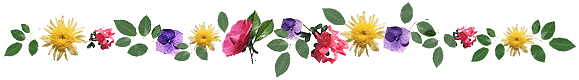 festival of flowers